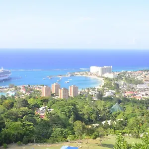 Pink Rock Bed & Breakfast Ocho Rios